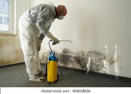 Trusted Richmond, IL Mold Inspection Experts